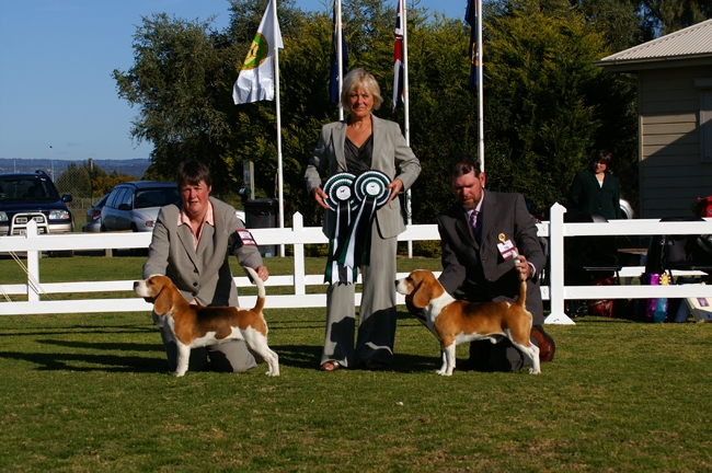 Anne holding roesettes at the Australian National Beagle Show