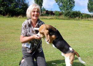 Jarrowley Stargazer - Anne With Stargazer