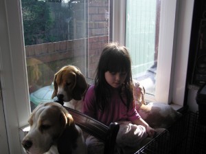 Child in window with beagles